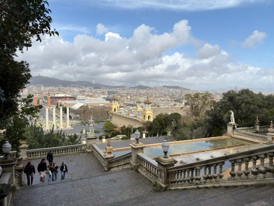 Смартфон Galaxy S26 Plus: странный выбор | DGL.RU