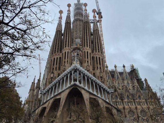 Смартфон Galaxy S26 Plus: странный выбор | DGL.RU