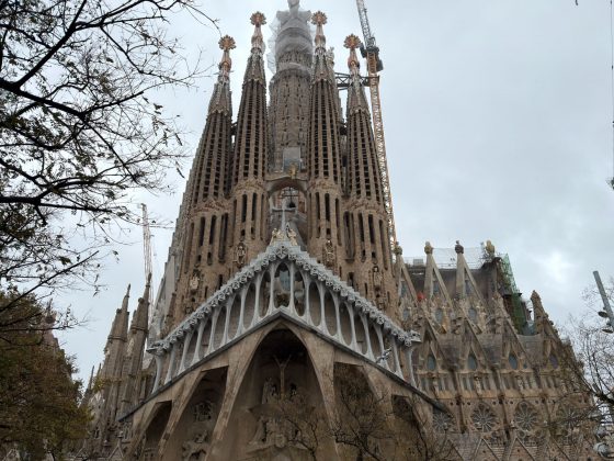 Смартфон Galaxy S26 Plus: странный выбор | DGL.RU