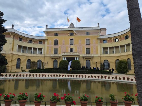 Смартфон Galaxy S26 Plus: странный выбор | DGL.RU