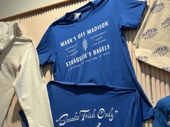 Смартфон iPhone 17e получил MagSafe и чип A19 | DGL.RU