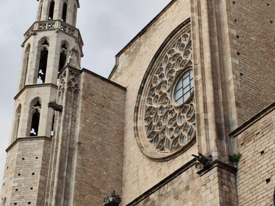 Смартфон Nothing Phone (4a): стиль и камера | DGL.RU