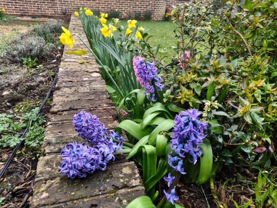 Смартфон Nothing Phone (4a) &mdash; стоит ли брать? | DGL.RU