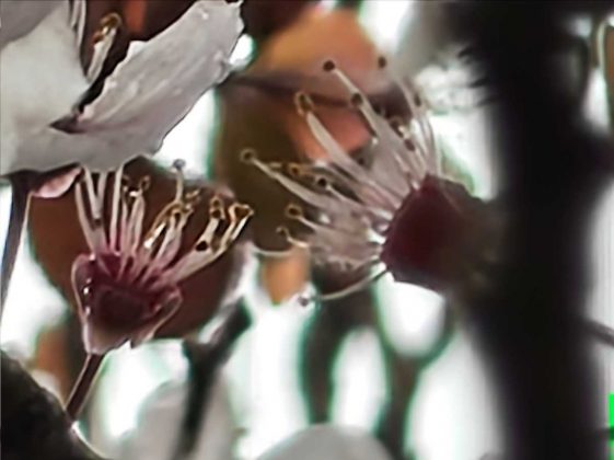 Смартфон Nothing Phone (4a) &mdash; стоит ли брать? | DGL.RU