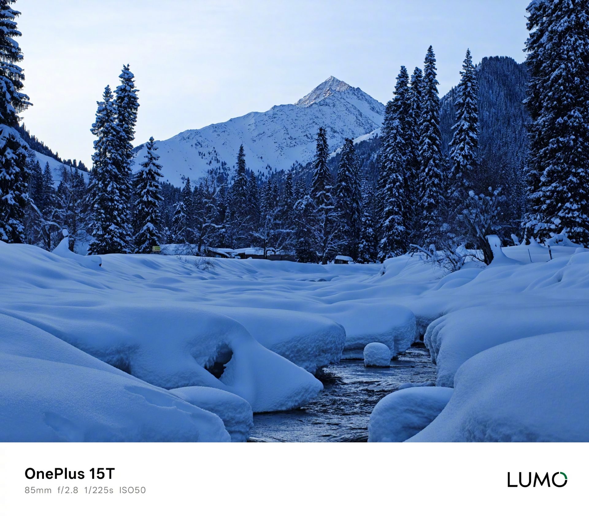 Смартфон OnePlus 15T: производитель раскрыл возможности камер перед громкой премьерой картинка Смартфон OnePlus 15T: суперзум и мощный АКБ | DGL.RU