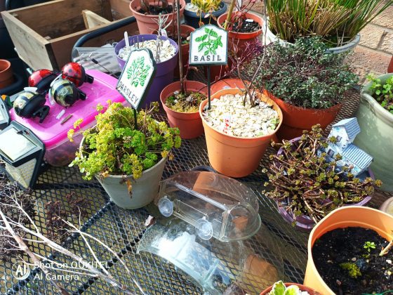 Смартфон Oukitel WP61 Plus: автономка и рация | DGL.RU