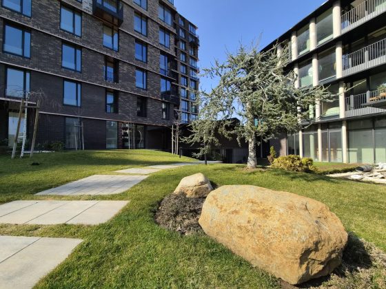 Смартфон Samsung Galaxy S26: компактный | DGL.RU