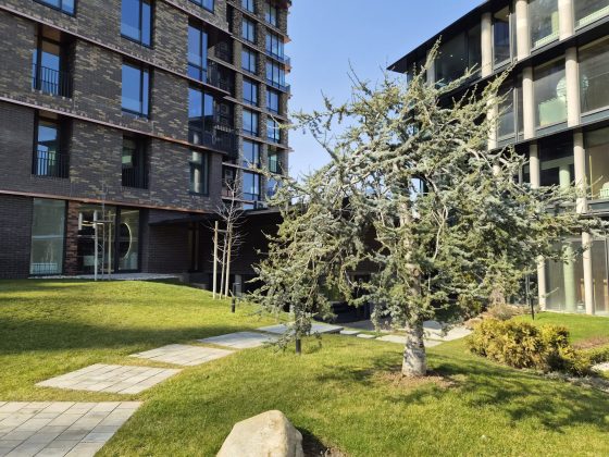 Смартфон Samsung Galaxy S26: компактный | DGL.RU