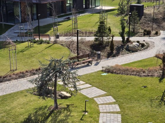 Смартфон Samsung Galaxy S26: компактный | DGL.RU