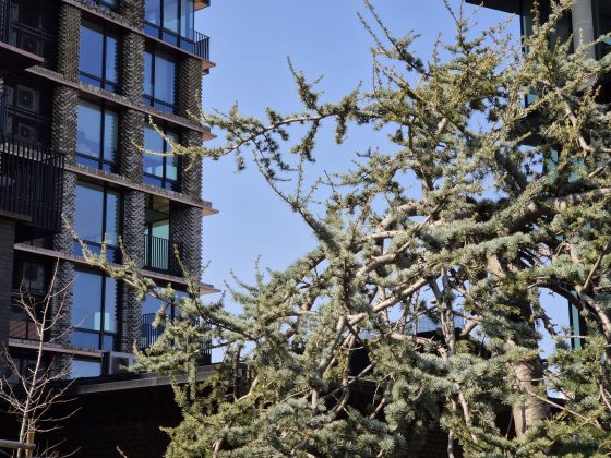 Смартфон Samsung Galaxy S26: компактный | DGL.RU