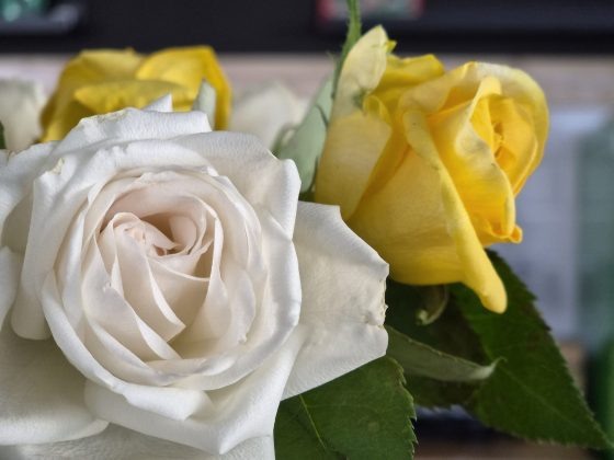 Смартфон Samsung Galaxy S26: компактный | DGL.RU