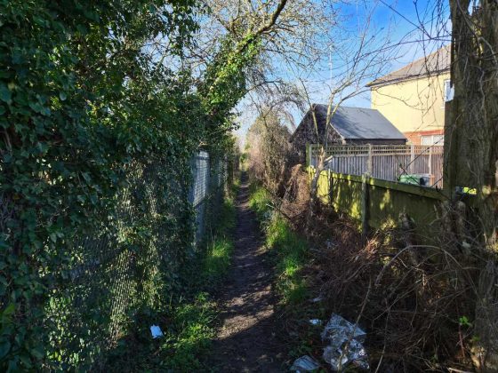 Смартфон Samsung Galaxy S26+: мощный экран | DGL.RU