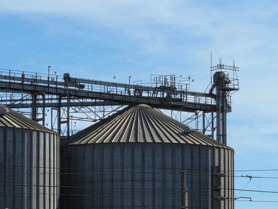 Смартфон Samsung Galaxy S26+: мощный экран | DGL.RU