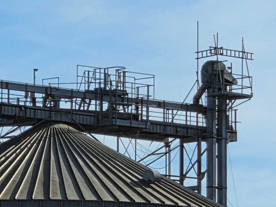 Смартфон Samsung Galaxy S26+: мощный экран | DGL.RU