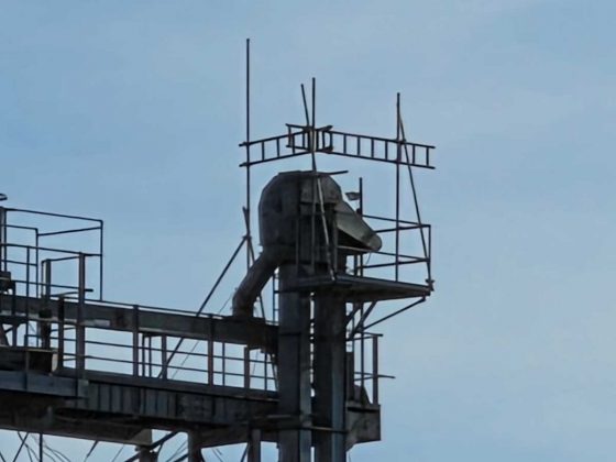 Смартфон Samsung Galaxy S26+: мощный экран | DGL.RU