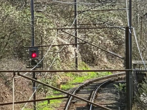 Смартфон Samsung Galaxy S26+: мощный экран | DGL.RU