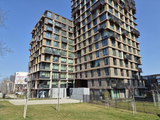 Смартфон Samsung Galaxy S26 Plus: копия S25+ | DGL.RU