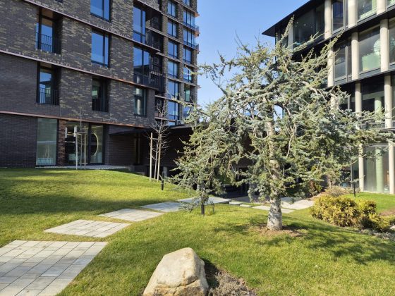 Смартфон Samsung Galaxy S26 Plus: копия S25+ | DGL.RU