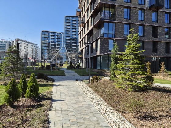 Смартфон Samsung Galaxy S26 Plus: копия S25+ | DGL.RU