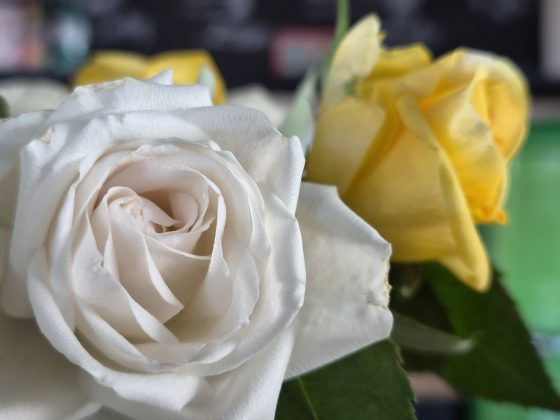 Смартфон Samsung Galaxy S26 Plus: копия S25+ | DGL.RU