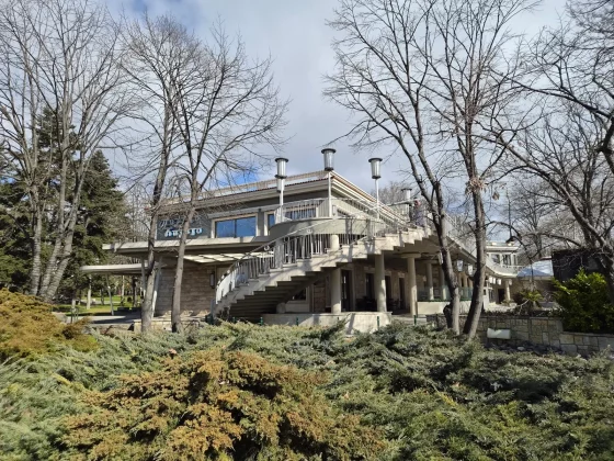 Смартфон Samsung Galaxy S26 Plus: тень Ultra | DGL.RU