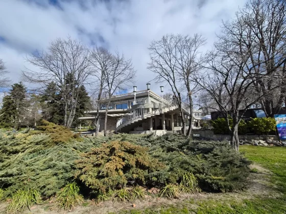 Смартфон Samsung Galaxy S26 Plus: тень Ultra | DGL.RU