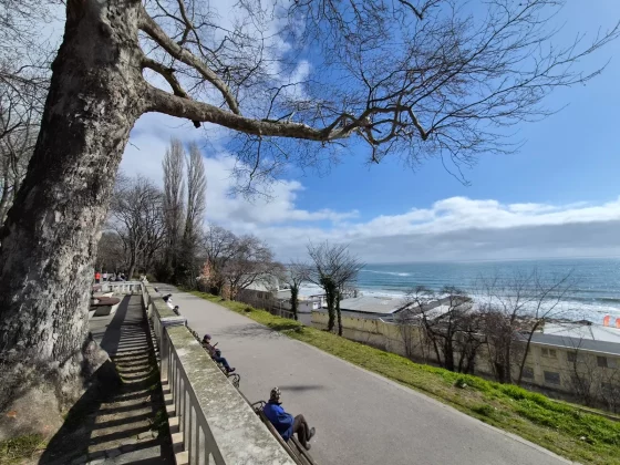 Смартфон Samsung Galaxy S26 Plus: тень Ultra | DGL.RU