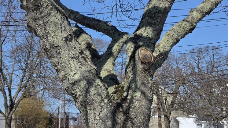 Смартфон Samsung Galaxy S26 Ultra | DGL.RU