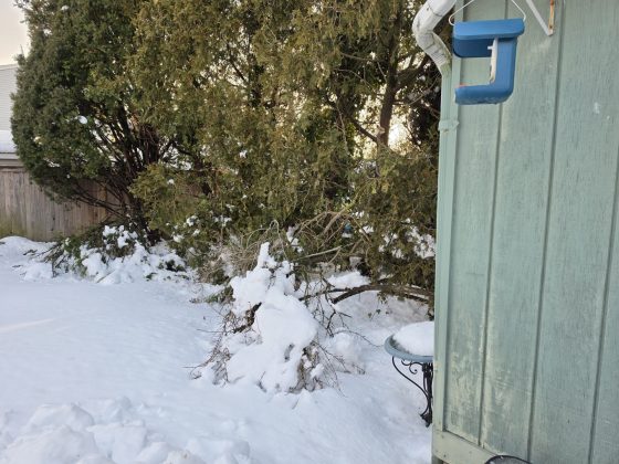 Смартфон Samsung Galaxy S26 Ultra | DGL.RU