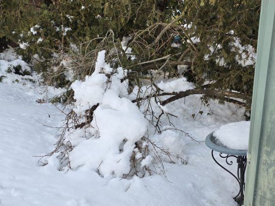 Смартфон Samsung Galaxy S26 Ultra | DGL.RU