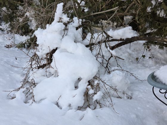 Смартфон Samsung Galaxy S26 Ultra | DGL.RU