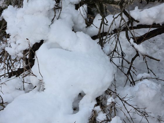 Смартфон Samsung Galaxy S26 Ultra | DGL.RU