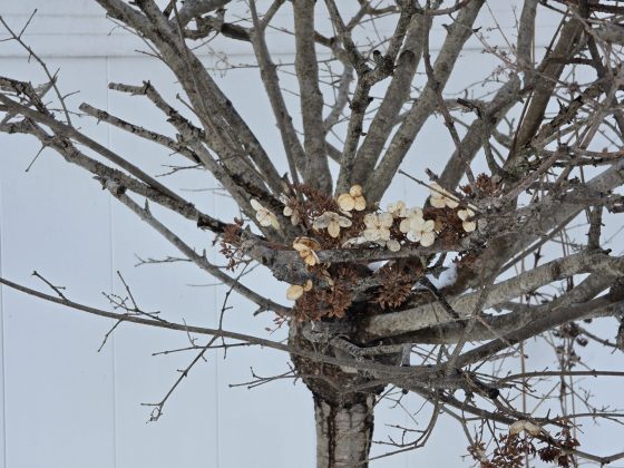 Смартфон Samsung Galaxy S26 Ultra | DGL.RU