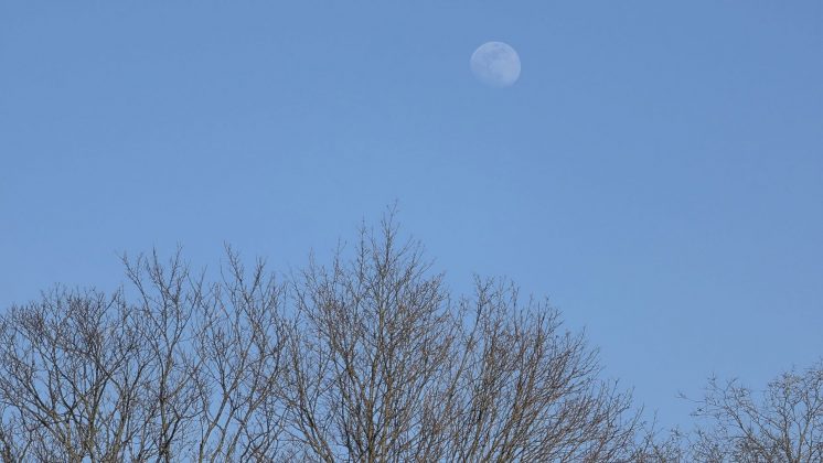 Смартфон Samsung Galaxy S26 Ultra | DGL.RU