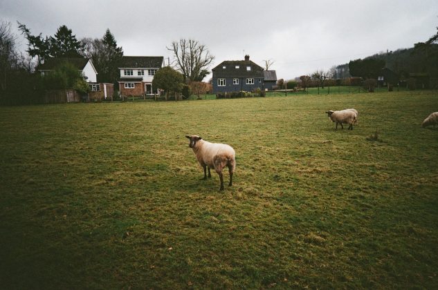 Snapic A1 - камера из мира пленочных фото | DGL.RU