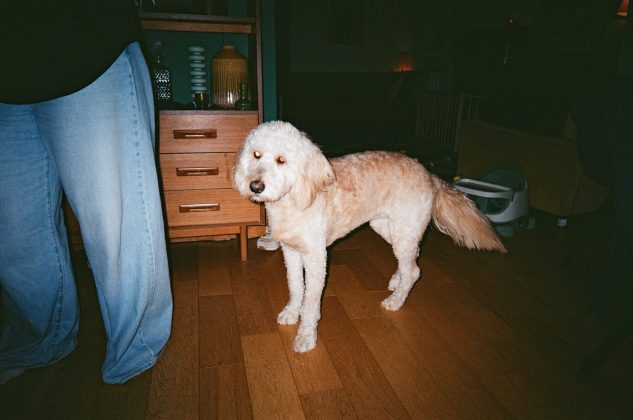 Snapic A1 - камера из мира пленочных фото | DGL.RU