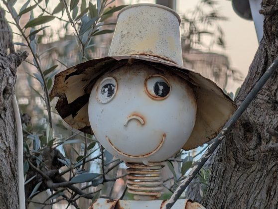 Galaxy S26 Ultra и Pixel 10 Pro XL: битва камер | DGL.RU