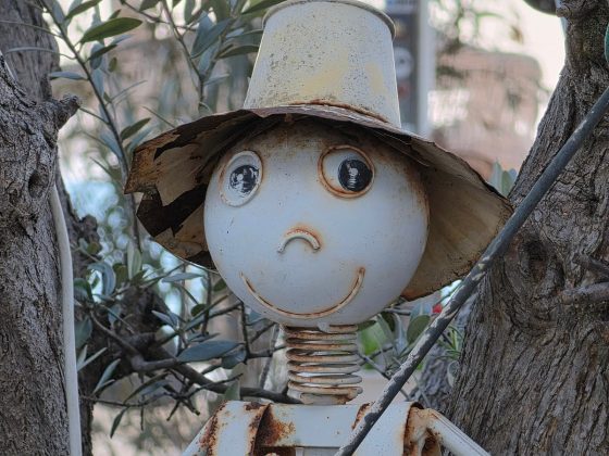 Galaxy S26 Ultra и Pixel 10 Pro XL: битва камер | DGL.RU