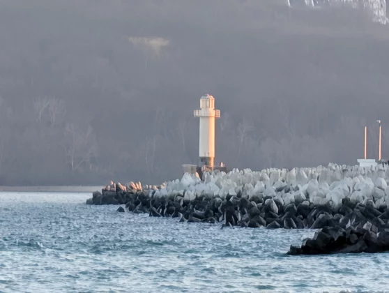 Galaxy S26 Ultra и Pixel 10 Pro XL: битва камер | DGL.RU