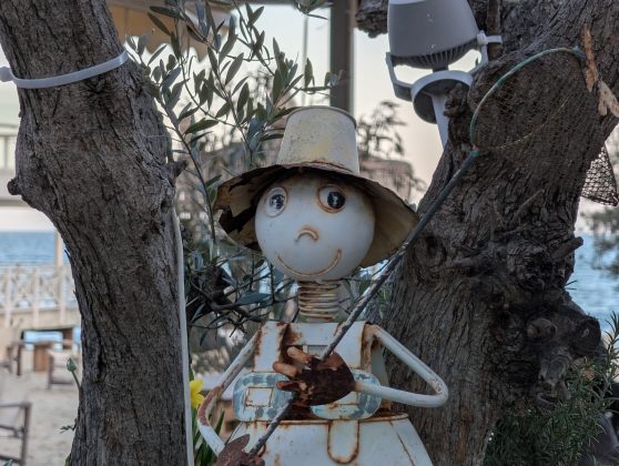 Galaxy S26 Ultra и Pixel 10 Pro XL: битва камер | DGL.RU