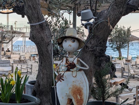 Galaxy S26 Ultra и Pixel 10 Pro XL: битва камер | DGL.RU