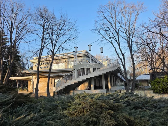 Galaxy S26 Ultra и iPhone 17 Pro: битва камер | DGL.RU