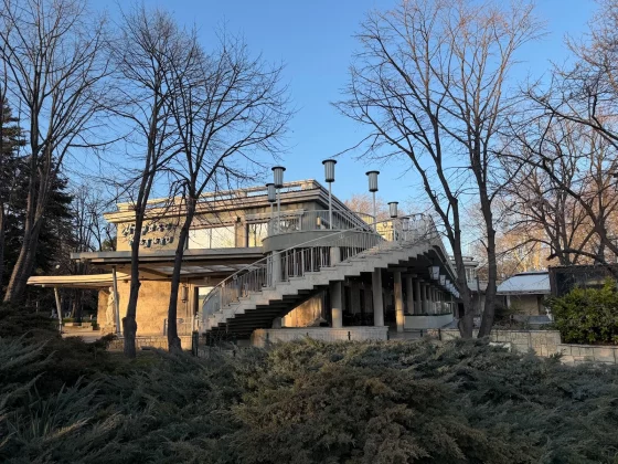 Galaxy S26 Ultra и iPhone 17 Pro: битва камер | DGL.RU