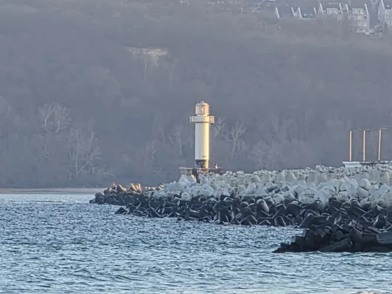 Galaxy S26 Ultra и iPhone 17 Pro: битва камер | DGL.RU