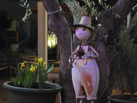 Galaxy S26 Ultra и iPhone 17 Pro: битва камер | DGL.RU