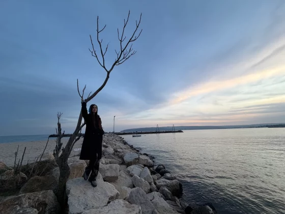 Galaxy S26 Ultra и iPhone 17 Pro: битва камер | DGL.RU