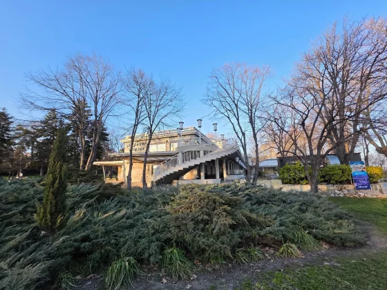 Galaxy S26 Ultra и iPhone 17 Pro: битва камер | DGL.RU