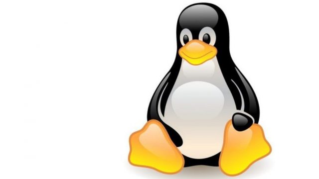 Дистрибутив Linux Puppy для загрузки с USB в 2026 | DGL.RU