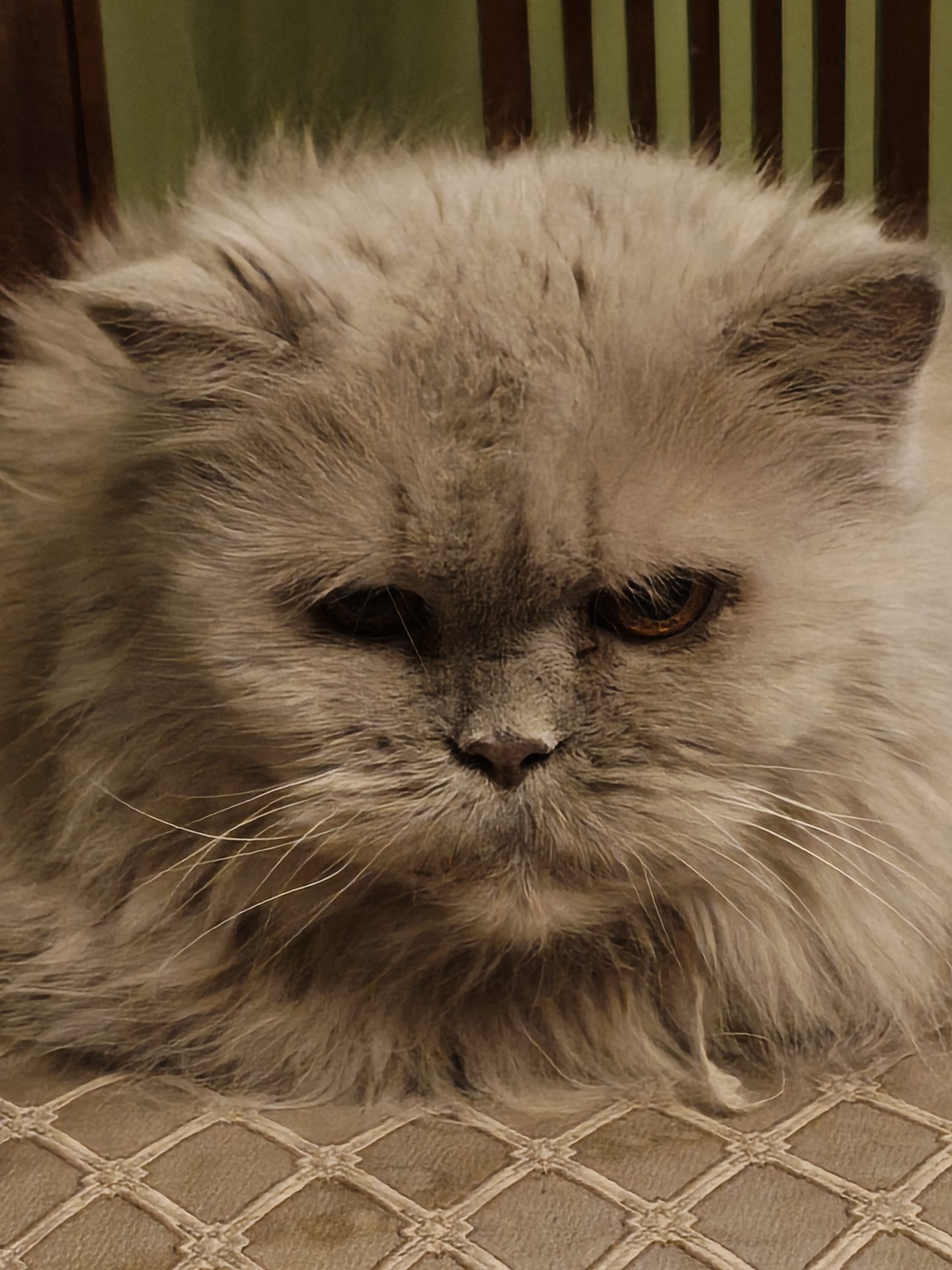 Обзор Infinix NOTE 60 — шикарная рабочая лошадка по суперцене