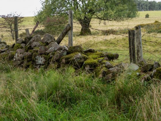 Камера OM System OM-5 II и другие: лучшие фото | DGL.RU